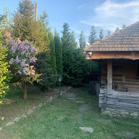 Satul Traditional Runcu  Exterior foto